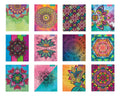 Cuaderno Universitario Proarte 100h 7mm Mandala 10 Unidades Color Mandalas